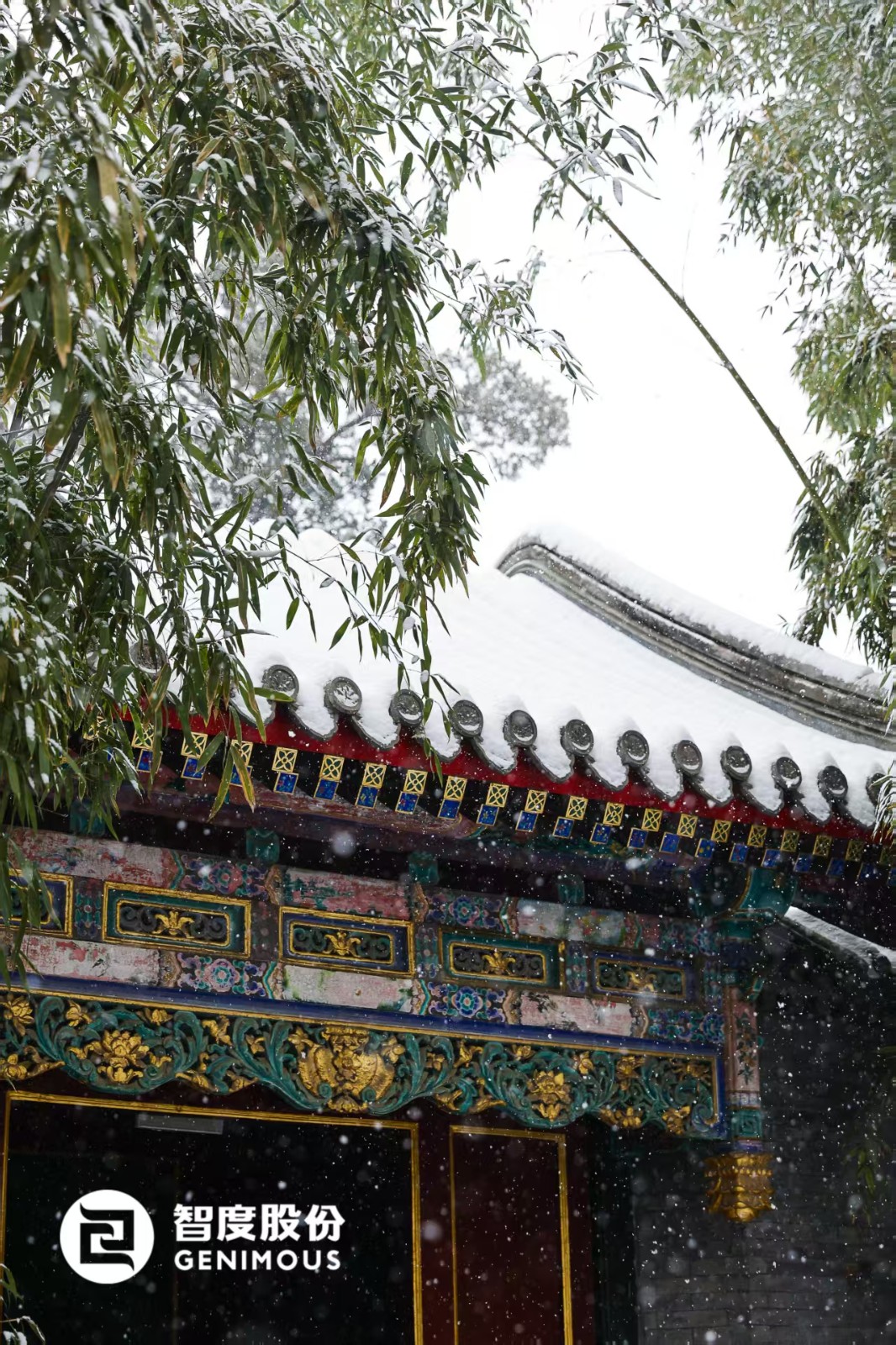 1764052986687841.jpg 4a5baf1bcc9847af3d9bb3a3cd48d6df.jpg