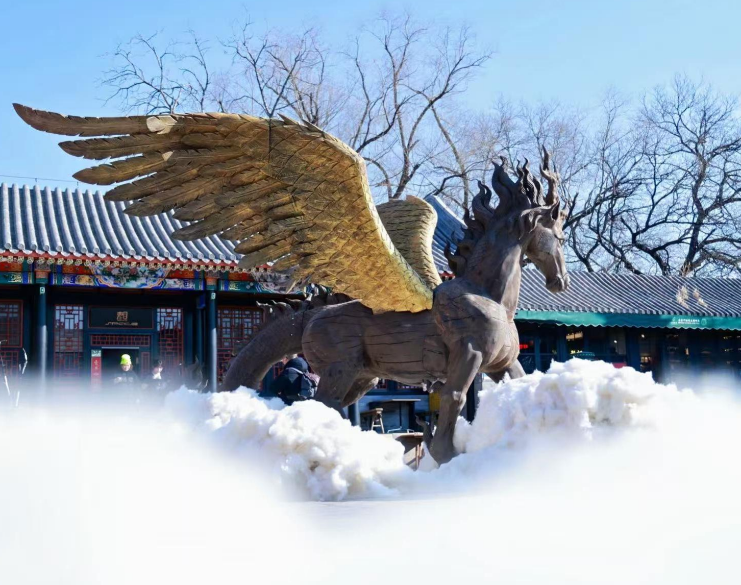 微信图片_2026-06-01_133457_302.png