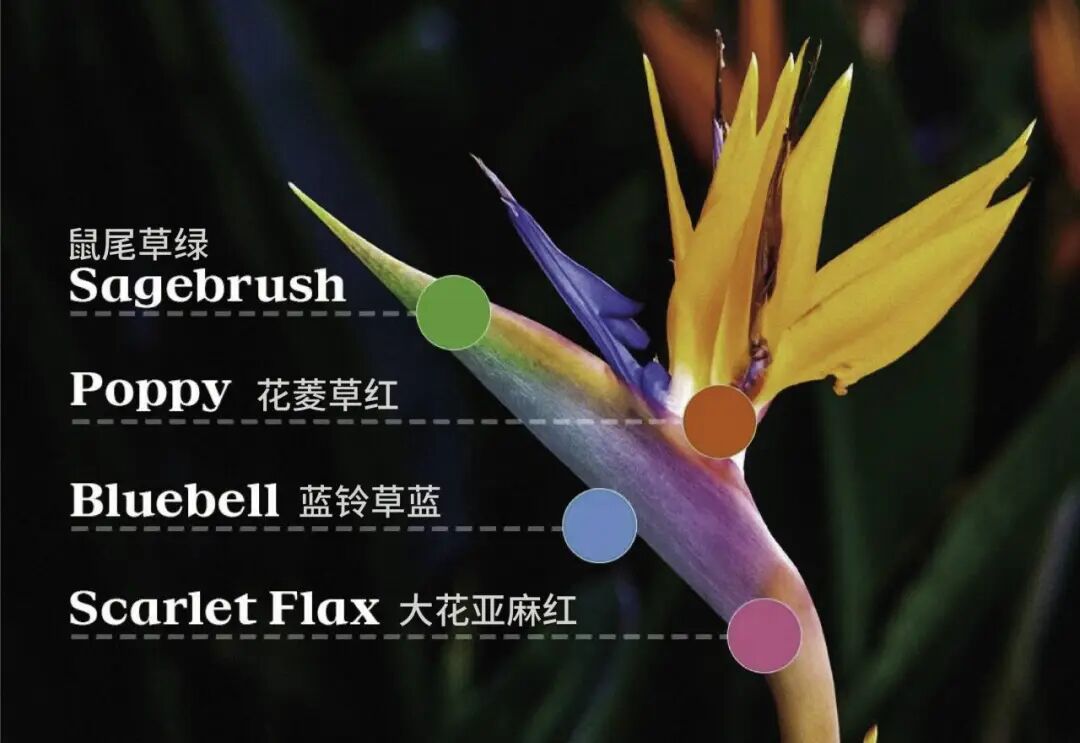 微信图片_2026-08-10_111047_223.jpg