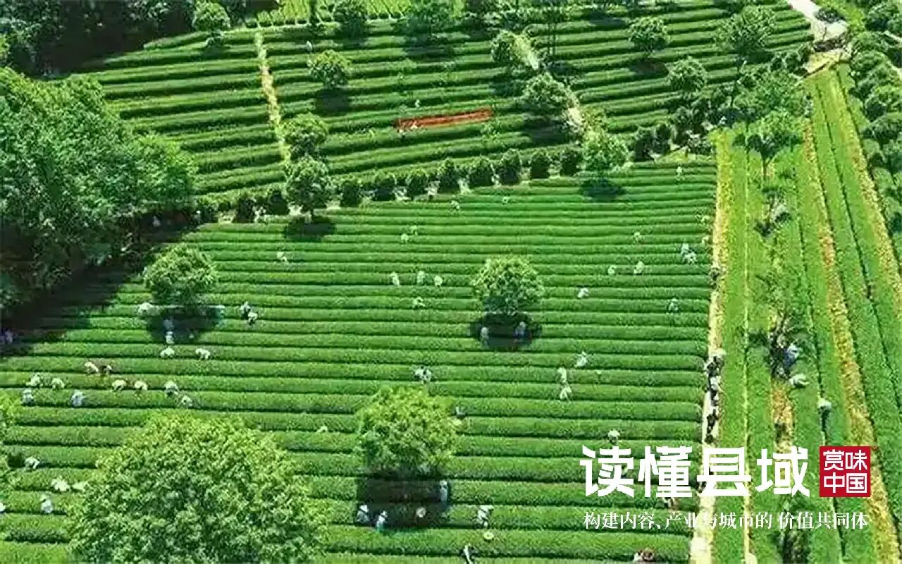 微信图片_2026-08-27_095725_430.jpg