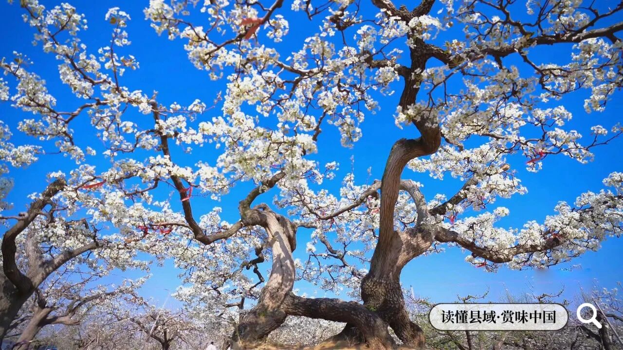 1789435931337082.jpg 微信图片_2026-09-15_092630_814.jpg